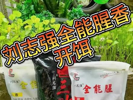 刘志强全能腥全能香怎么开饵,只要饵开好,鱼儿哪里跑#刘志强全能腥全能香三体 #开饵料 #钓鱼的乐趣只有钓鱼人懂