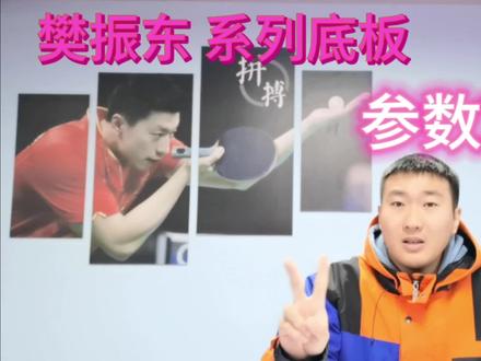 乒乓球 器材 樊振东系列 底板参考#乒乓球 #乒乓球拍 #乒乓球器材 #樊振东