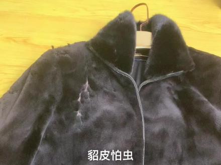 修理一件貂皮大衣,貂绒外套虫蛀了,没有好办法了,改马甲吧。#貂皮改款 #貂皮缩水修复 #貂皮虫蛀修复