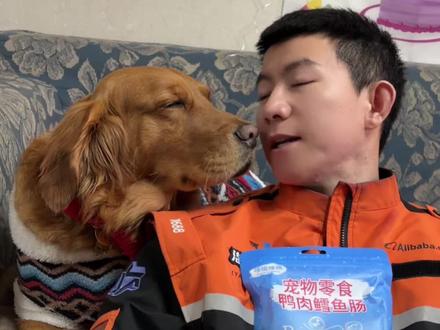 我的小狗不用再羡慕别人有火腿肠吃了,猫咪狗狗都可以安排上#金毛 #笨蛋小狗#养狗的意义