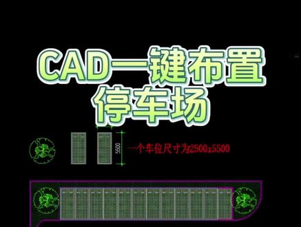 CAD一键布置停车场#专业的事交给专业的人 #cad画图