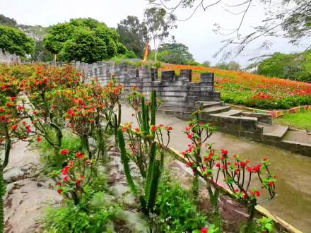 不到长城非好汉,松山湖梦幻百花洲。#第一视角 #旅行推荐官 #实景拍摄 #带你看风景 #景点打卡 #身边的风景 #穿越机