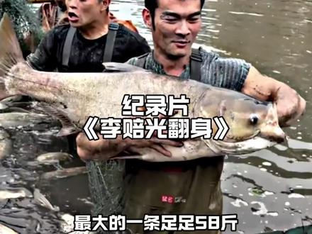 李维刚四川包到真鱼塘,刚哥最不亏钱一集,直夸四川老乡靠谱,没有心眼子#李维刚 #包鱼塘 #捕鱼 #李维刚包鱼塘 #剪映