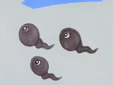 挑战学习1000张简笔画之小蝌蚪(19/1000)#简笔画 #亲子简笔画 #一学就会的简笔画 #一起学画画 #儿童简笔画 #幼儿简笔画 #ཻ画ཻ渣ཻ日ཻ常ཻ #可爱简笔画 #画画