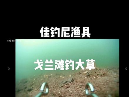 戈兰滩 钓大草 #钓鱼人就是这么疯狂 #钓鱼人 #钓鱼人 #钓鱼的乐趣只有钓鱼人懂 #鱼获满满 #钓大物 #野钓巨物 #户外钓鱼 #钓鱼那些事 #鱼饵制作 #野钓 #钓鱼