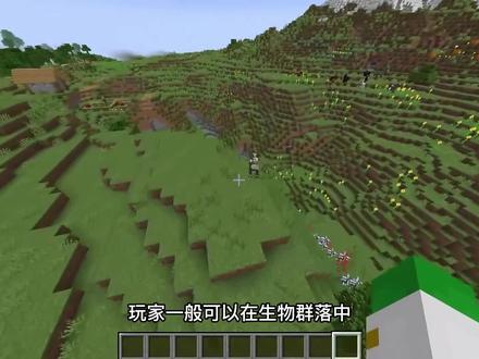我的世界:关于“马”的知识小课堂,培育小马的繁殖计划! #沙盒