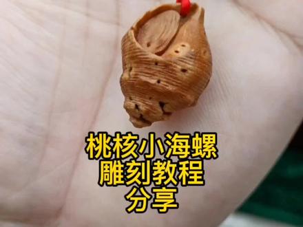 桃核小海螺,辟邪保平安…#原创手作 #手工制作 #桃核 @DOU+小助手