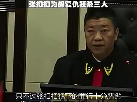 为母复仇张扣扣是杀人狂魔还是孝子#大案纪实 #真实案件 #纪录片