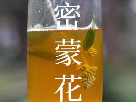 没想到古时候的人解决眼睛干涩问题是用的植物!是的,今天讲的就是它,认识吗? #dou出新知 #植物