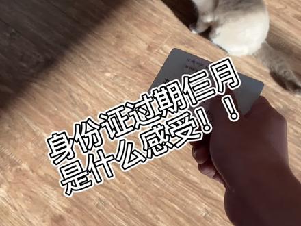 #安冬雨的日常 身份证过期仨月是什么感受!