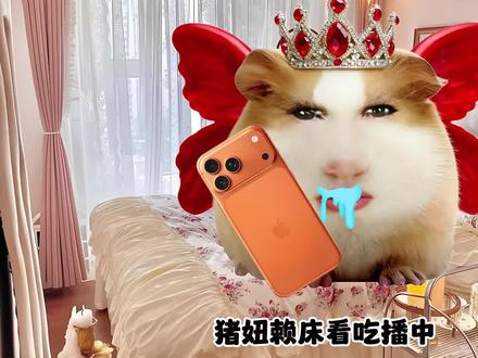 猪妞吃播记第8集#猪妞 #二次元 #主播女孩重度依赖