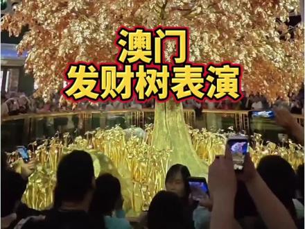 澳门价值两亿元发财树表演,免费送给大家观赏,太震撼了 #永利发财树见者发财 #金碧辉煌的发财树 #澳门發財樹 #见者好运发财树 #澳门金树