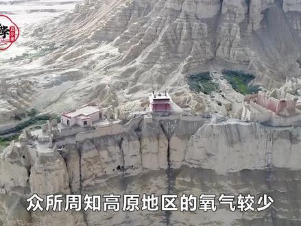 在高原上随意小便会死人,这是真的吗?这个传言有啥科学依据? #科普 #高原 #高原反应 #小便