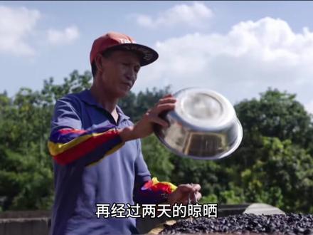别说00后,90后都没几个人吃过这道金典怀旧菜!榄角蒸鲈鱼,淡淡榄香,又鲜又嫩,好吃还不腥!#清蒸鱼鲈鱼#榄角#粤菜#茂名美食#美食推荐