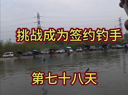 挑战成为签约钓手,到底需要花费多少米#钓鱼 #钓鱼的乐趣只有钓鱼人懂