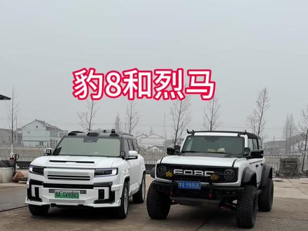 一台#豹8 改装了#山海套件 宽体,一台#烈马bronco 改装了烈马猛禽宽体,都是扎眼的白,大家怎么看?