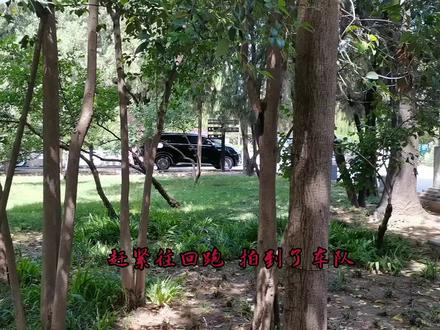 #奔跑吧邯郸#跑男来邯郸了【2026-05-18】跑男来邯郸了,50+的老阿姨凑凑热闹而已,感受感受氛围,追星的不容易、演员不容易、摄像的不容易,干啥都不容易啊。#实时追星#城市人气爆棚