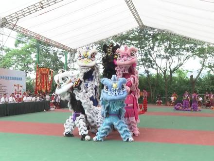 大学男子甲组群狮-广东海洋大学#最难忘的瞬间 #醒狮 #非遗抖起来