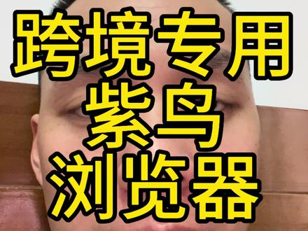 紫鸟浏览器自带节点 #跨境电商 #节点