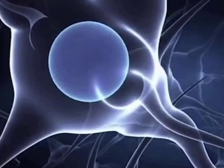 多巴胺与荷尔蒙之区别