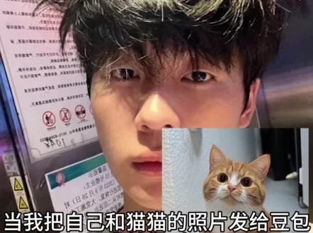 世界不能没有小猫咪 #狸花猫 小猫 #猫猫 你还是太权威啦!和猫猫相拥 和自家萌宠合照 和猫猫拥抱ai合照指令教程来啦!#和宠物合照 豆包p图和猫猫合照 #豆包ai #豆包指令