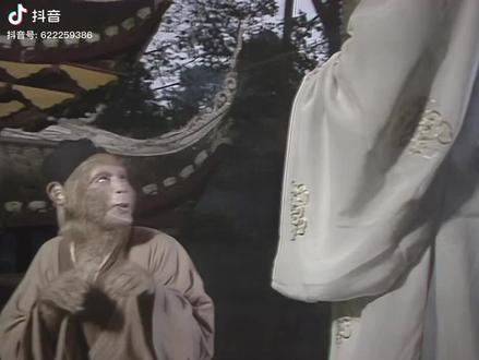 人生的精髓就是随意和将就!