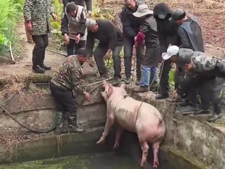 #勾股定理 钩股腚里 往哪里逃