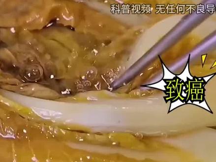 东北酸菜致癌?长期吃酸菜对身体有害吗?科学实验揭开真相! (1)#东北酸菜 #老坛酸菜 #涨知识