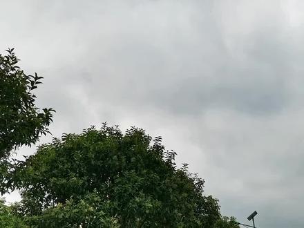 天赐之翼他来了 #原创 #感谢官方大大让我上一次热门 #感谢官方大大让我上一次热门