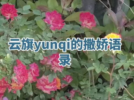 云旗yunqi的撒娇语录#玩法达人中心