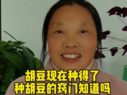 种胡豆的窍门#种植经验分享#胡豆 #三农