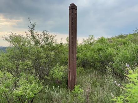 这是我见过的土洞最多的墓地!