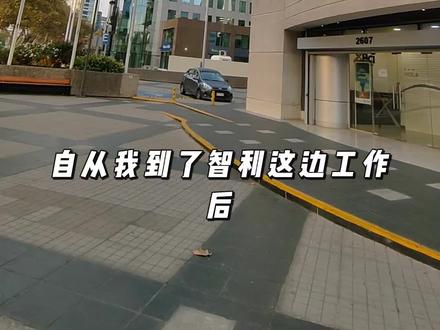 中国人在智利做什么生意多