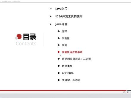 Java全套零基础入门Day1-17、变量的使用注意事项