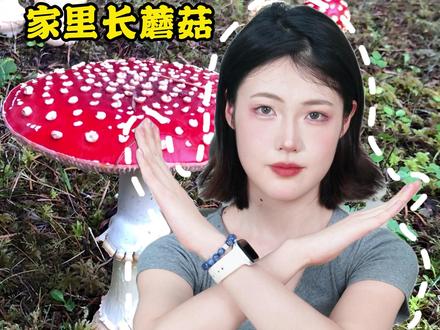 看到这些蘑菇,家长一定要告诉孩子不要采!#育儿 #科普一下 #家长必读 #蘑菇 #儿童安全