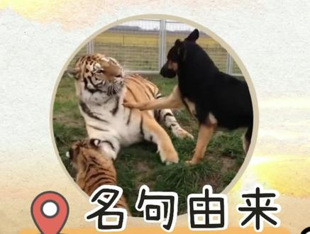 #诸葛亮 虎落平阳被犬欺的由来#故事 #涨知识
