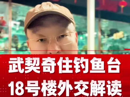 武契奇住钓鱼台18号楼外交解读 #真实生活分享计划#武契奇开始访华#热点#国际局势 #记录真实生活