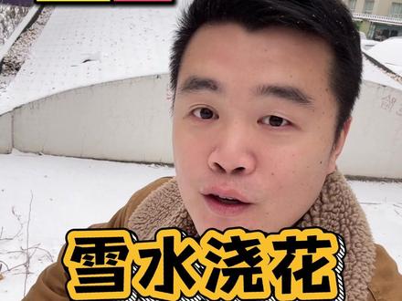 北京第一场雪,这雪水浇花,植物更喜欢,几个注意事项要记住 #下雪了 #花卉绿植 #养花小知识
