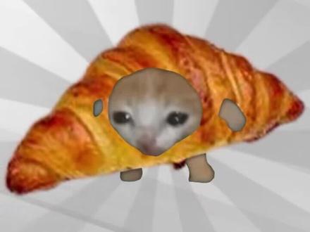 【梗百科】Quaso是啥梗?可可爱爱可颂猫怎么火了?