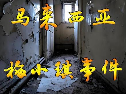 马来西亚,梅小琪事件