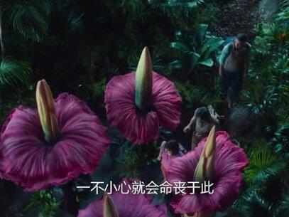 丛林探险寻找黄金城宝藏 #奇幻 #影视解说