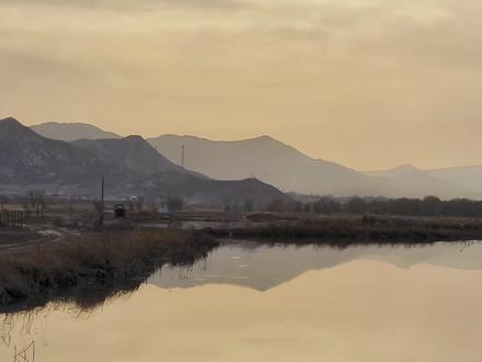 #《生命树》#我拍过的治愈风景色