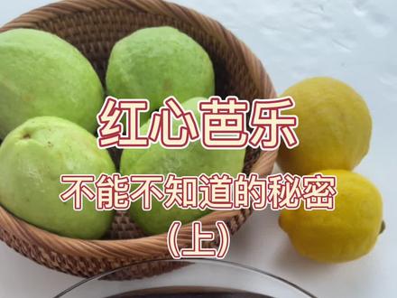 我们叫芭乐叫番石榴,你那里叫什么呢?红心番石榴你吃过吗?蘸点陈皮粉入口更美味~ #石榴 #原创 #有益健康