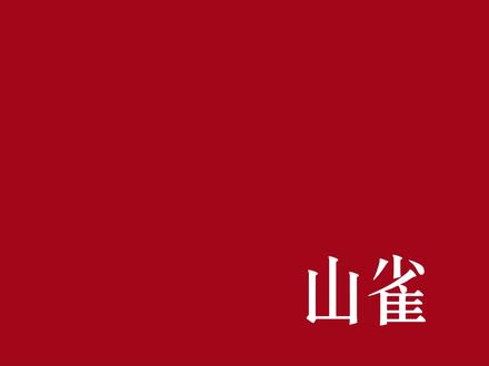 山雀、是万青、也是我们。#山雀 #万青 #万能青年旅店 #音乐分享 #歌词