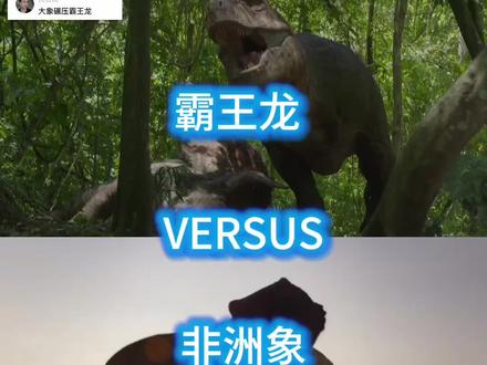满级象吹😂,第二次做论战#古生物#非洲象#霸王龙