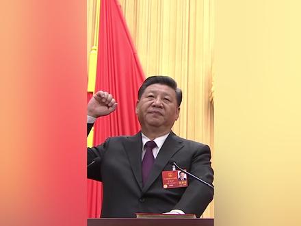 宣誓人:习近平! #良法善治同心同行