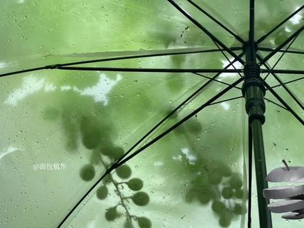 幸福的键号是乾镐#安乾镐 #cortis #cortis安乾镐