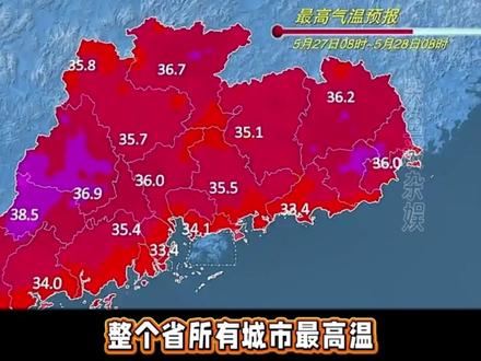 坏消息:广东热炸了,好消息:家里小动物更宜居了 #极端天气 #高温 #广东 #蚊子 #高温预警
