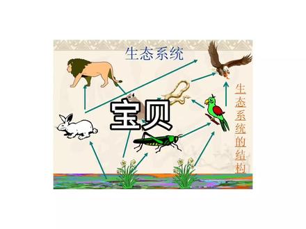 学完生态系统可以自己动手做做生态瓶哟!#原神 #原神枫丹 #八重神子 #生物#云原神@万叶讲生物