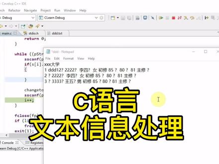 C语言-文本信息的提取与处理